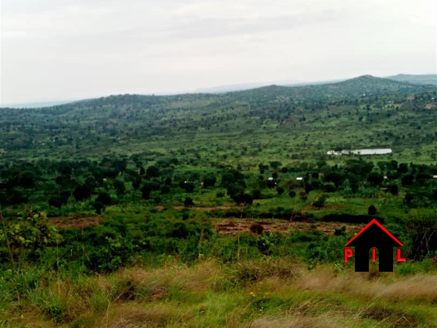 Agricultural Land for sale in Gomba Mubende