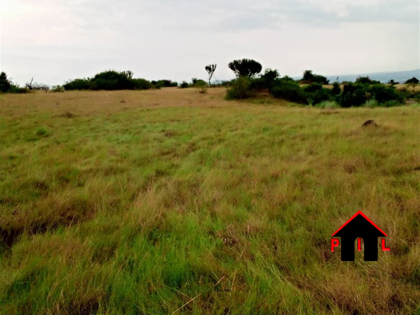 Agricultural Land for sale in Gomba Mubende