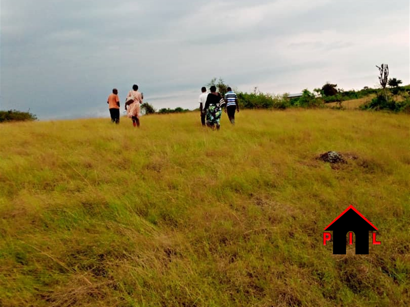 Agricultural Land for sale in Gomba Mubende