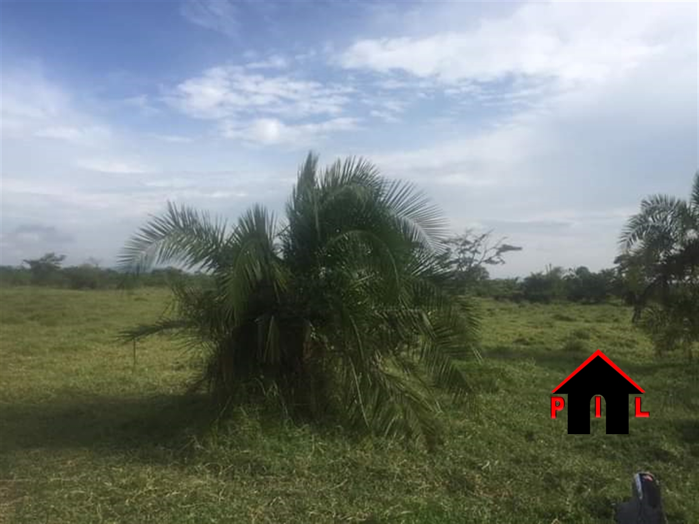 Residential Land for sale in Mate Mityana