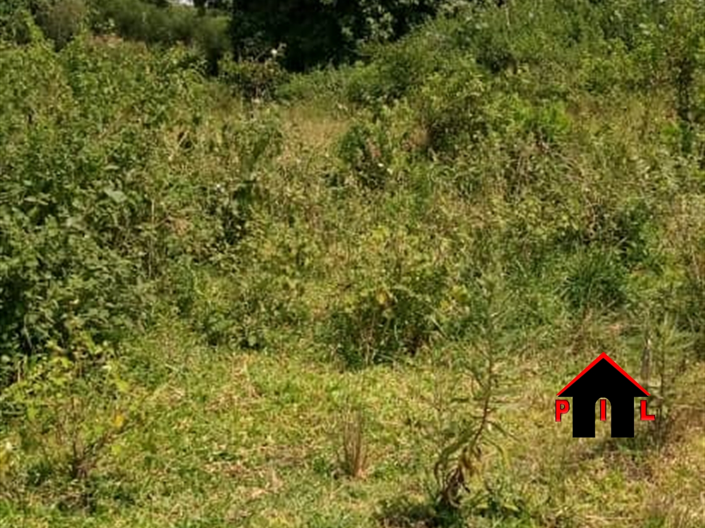 Residential Land for sale in Mate Mityana