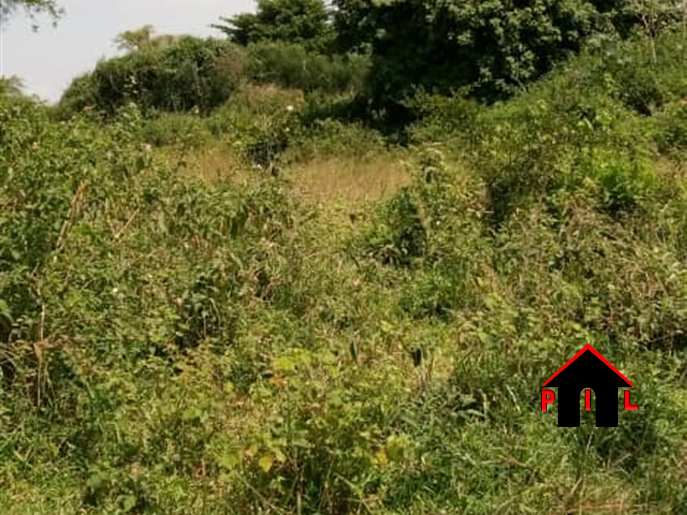 Residential Land for sale in Mate Mityana