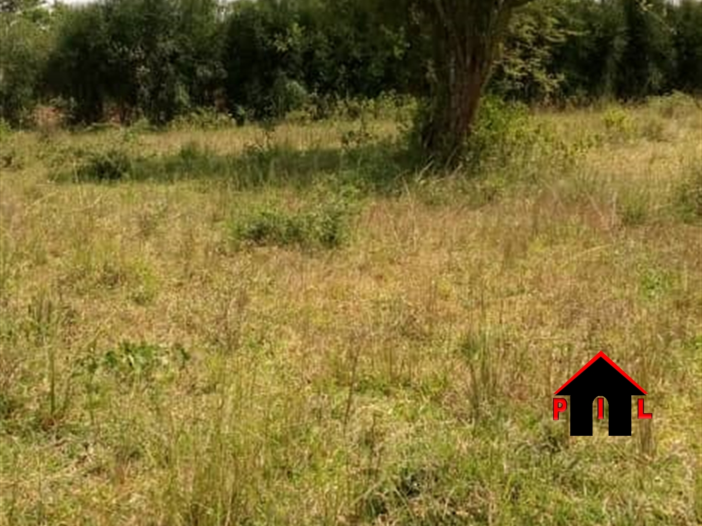 Residential Land for sale in Mate Mityana