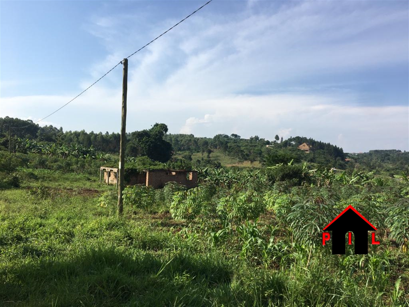 Agricultural Land for sale in Nkoowe Wakiso