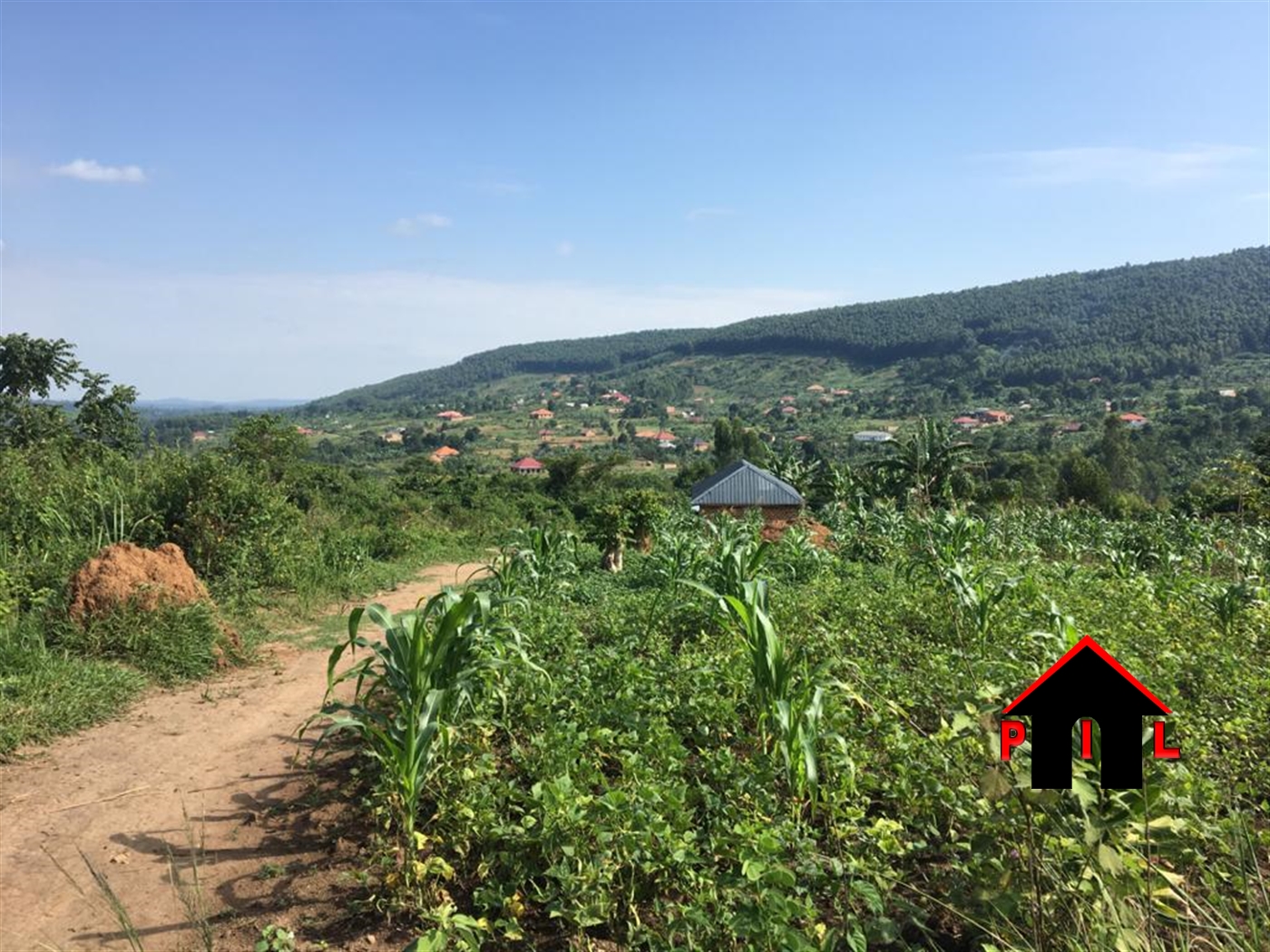 Agricultural Land for sale in Nkoowe Wakiso