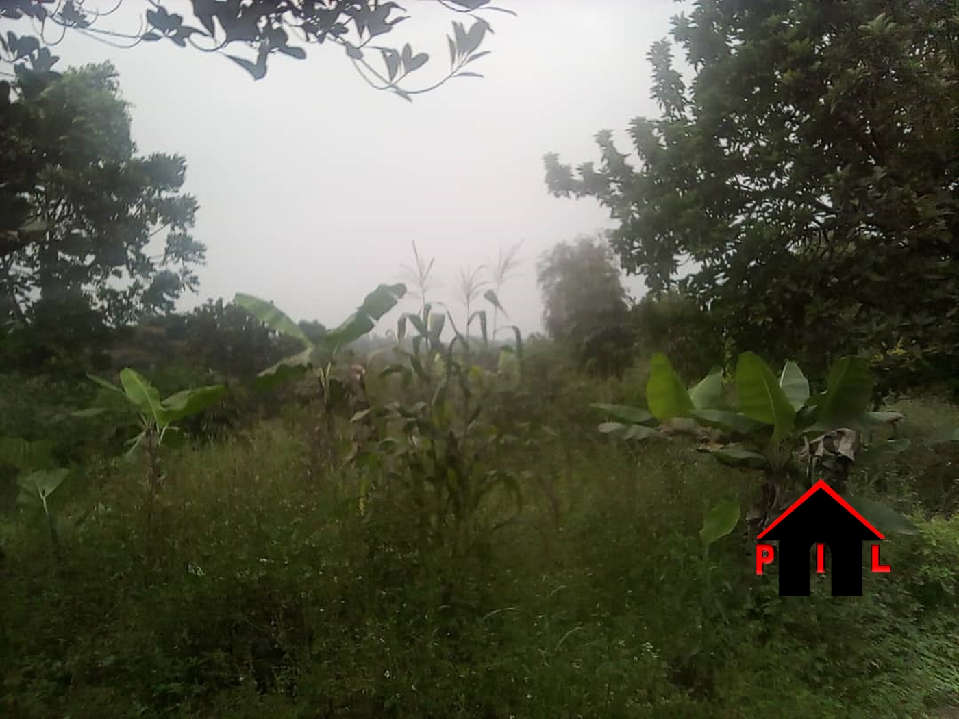 Residential Land for sale in Namulonge Wakiso