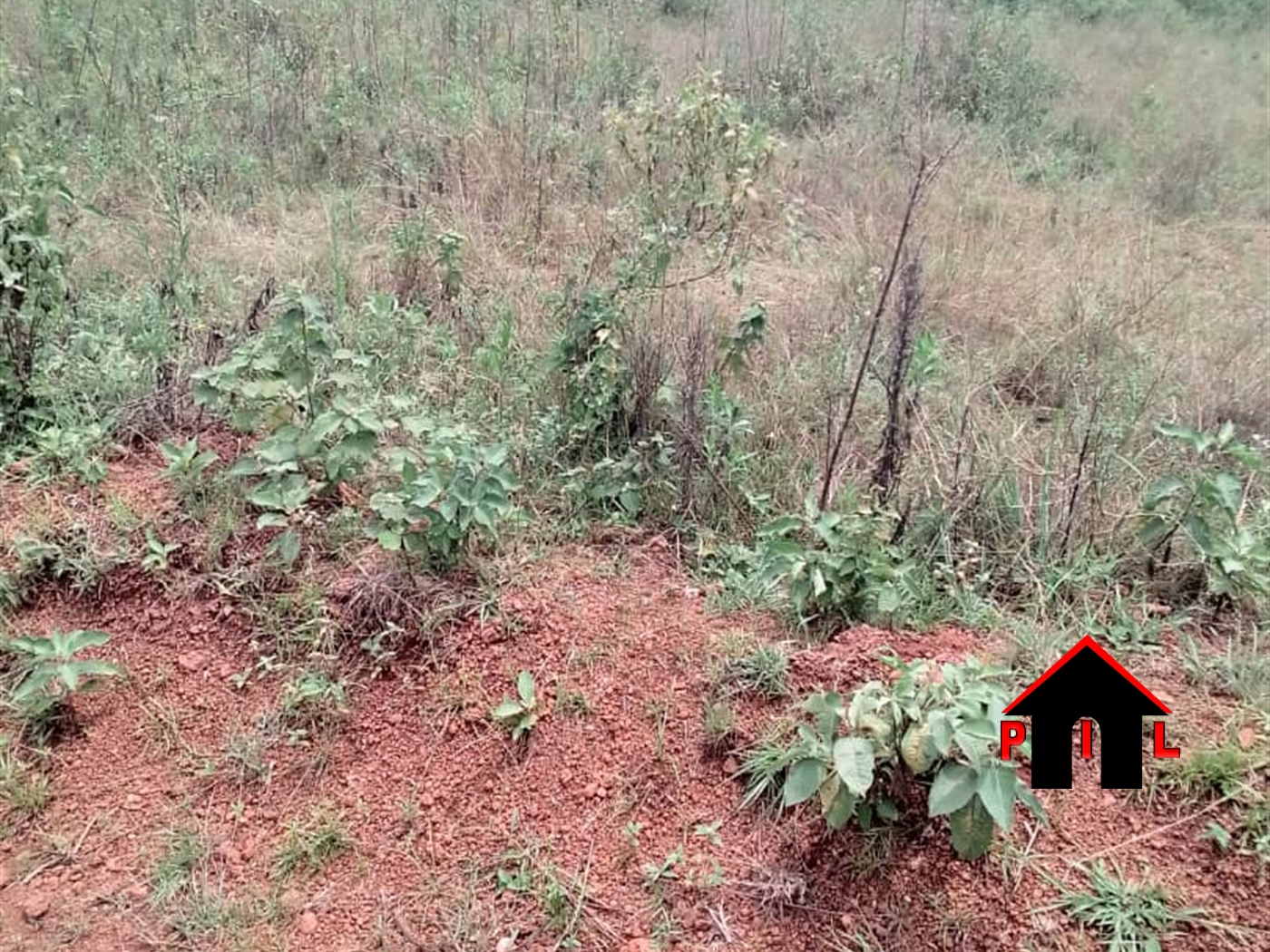 Residential Land for sale in Namulanda Wakiso