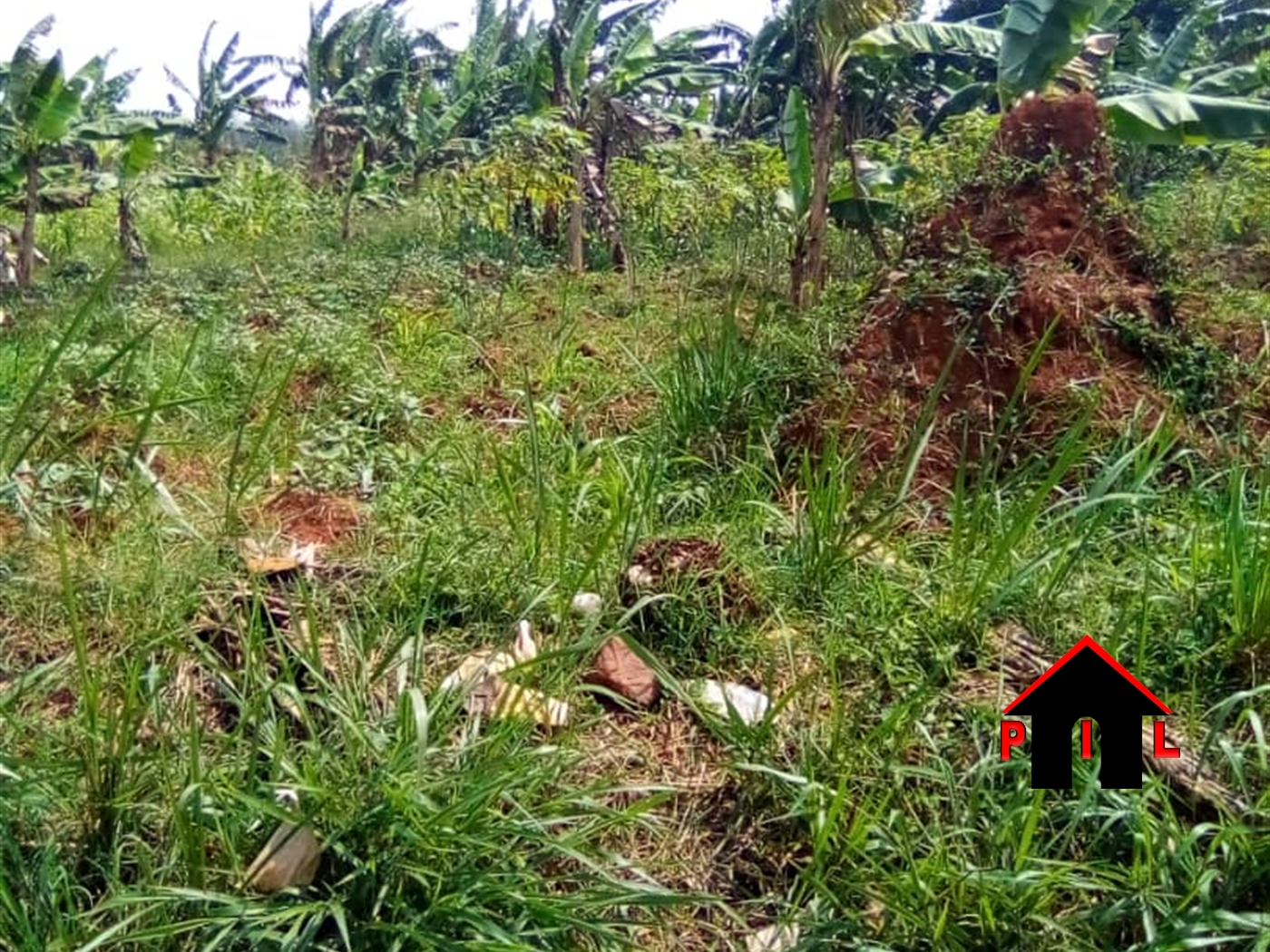 Residential Land for sale in Nsawo Wakiso