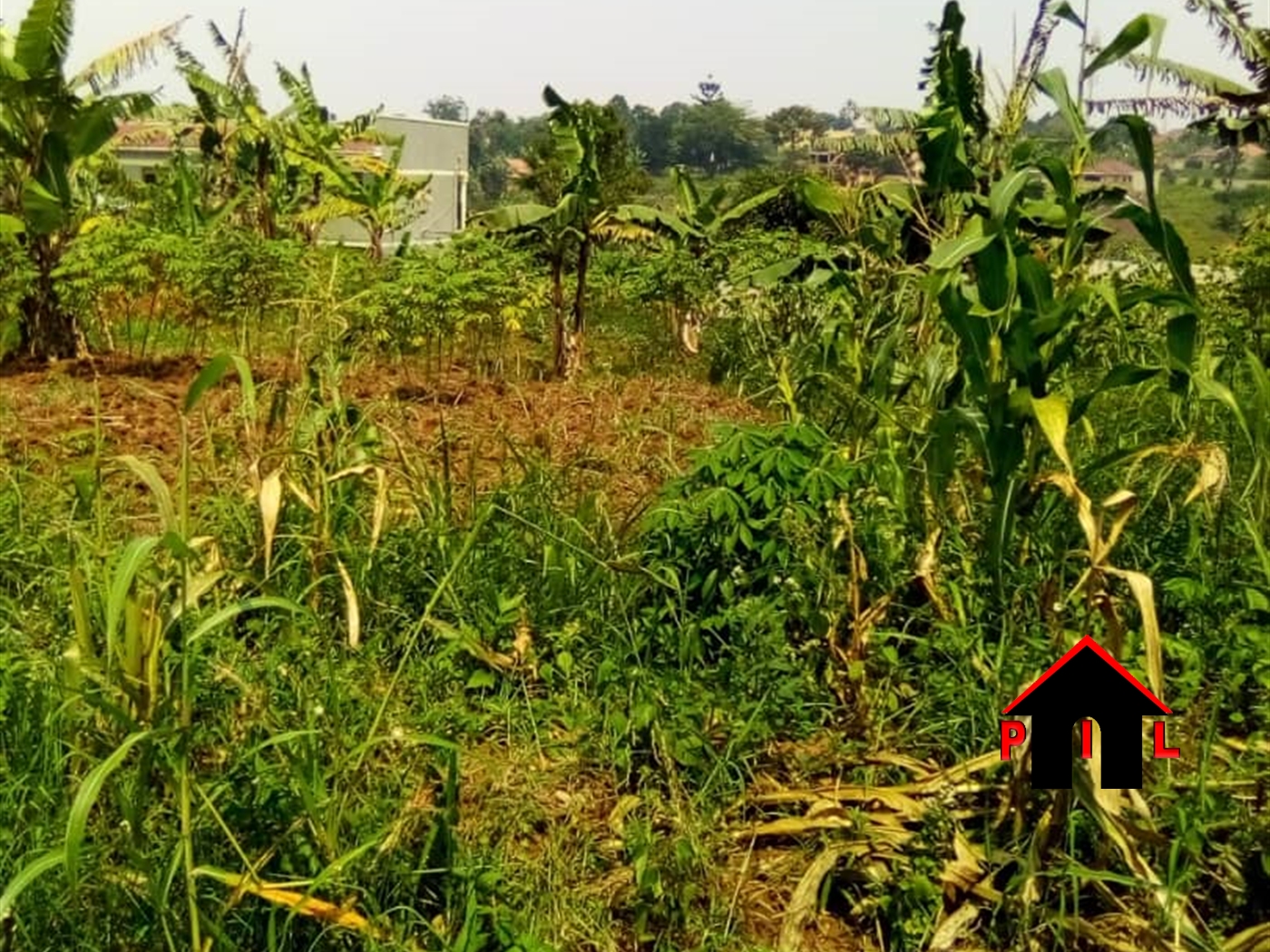 Residential Land for sale in Nsawo Wakiso