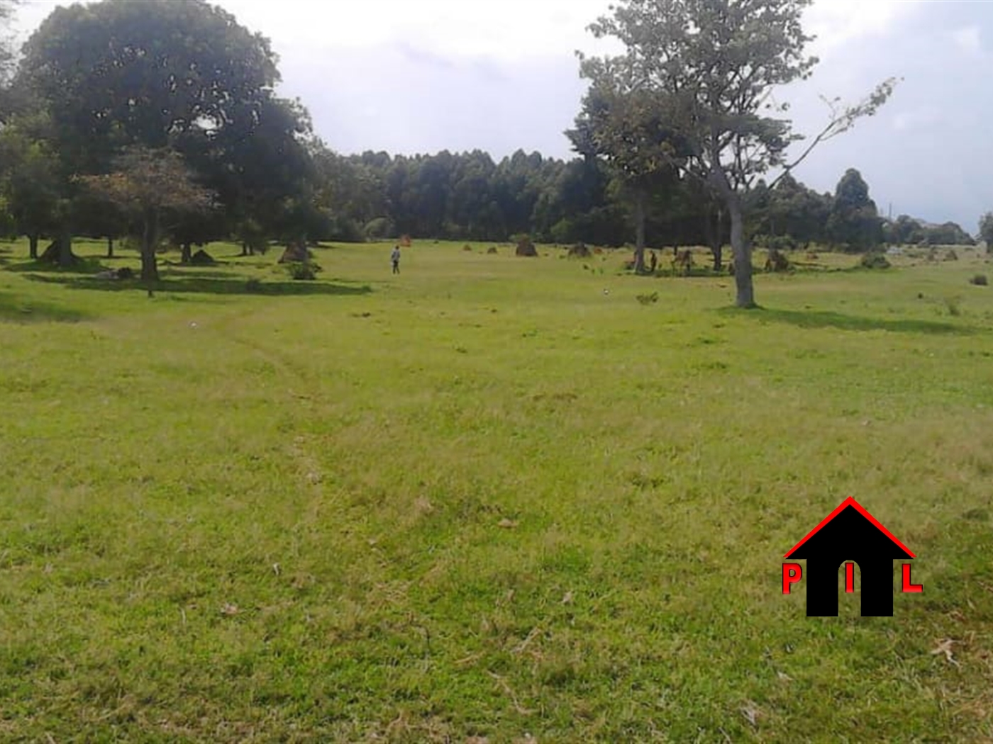 Agricultural Land for sale in Kiwenda Wakiso