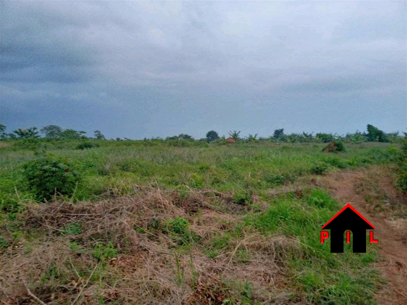 Agricultural Land for sale in Kiwumu Wakiso