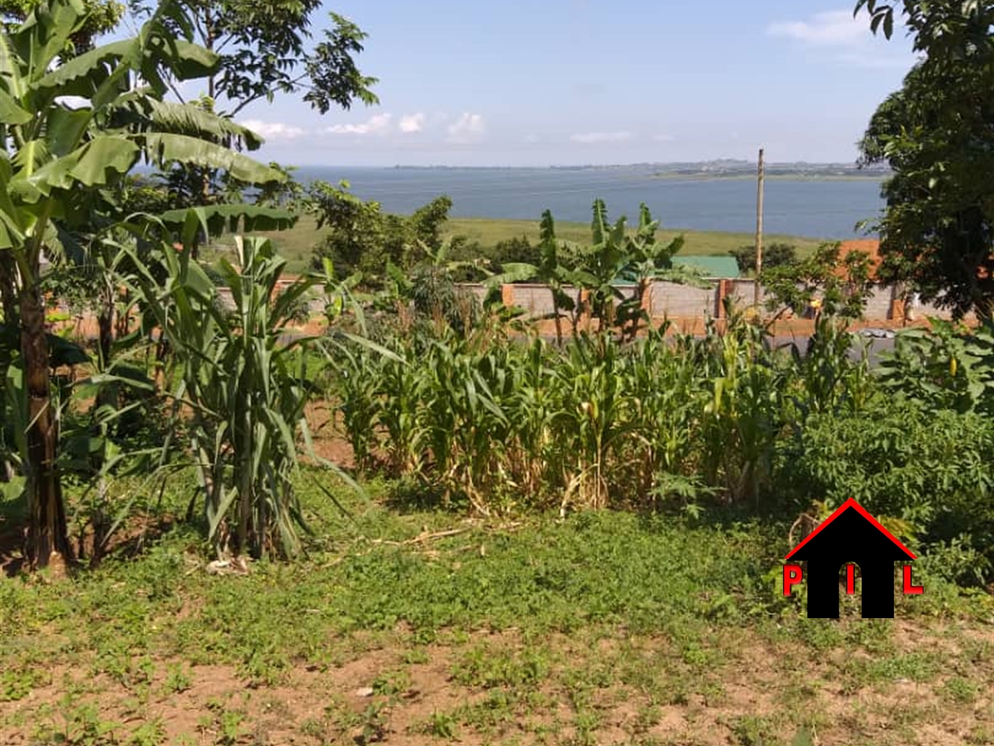 Agricultural Land for sale in Mukunya Luweero