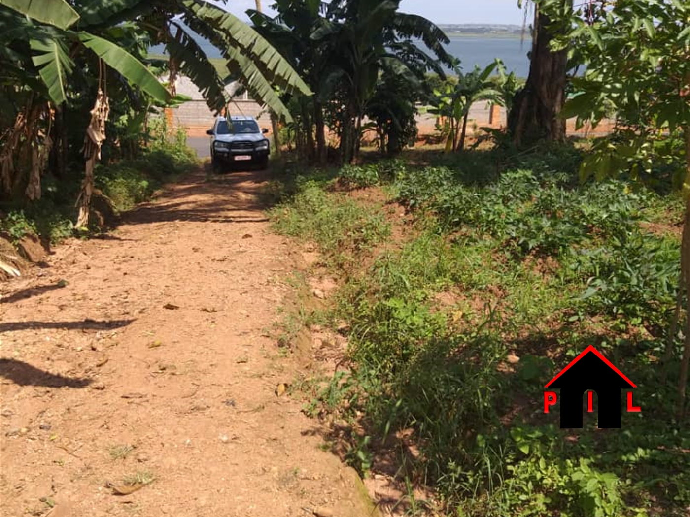 Agricultural Land for sale in Mukunya Luweero