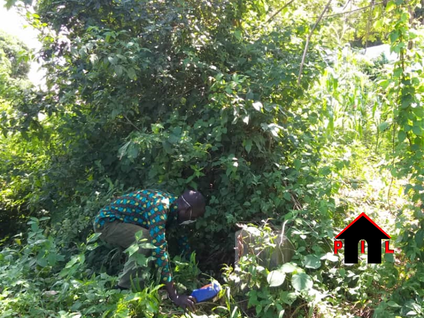 Agricultural Land for sale in Mukunya Luweero