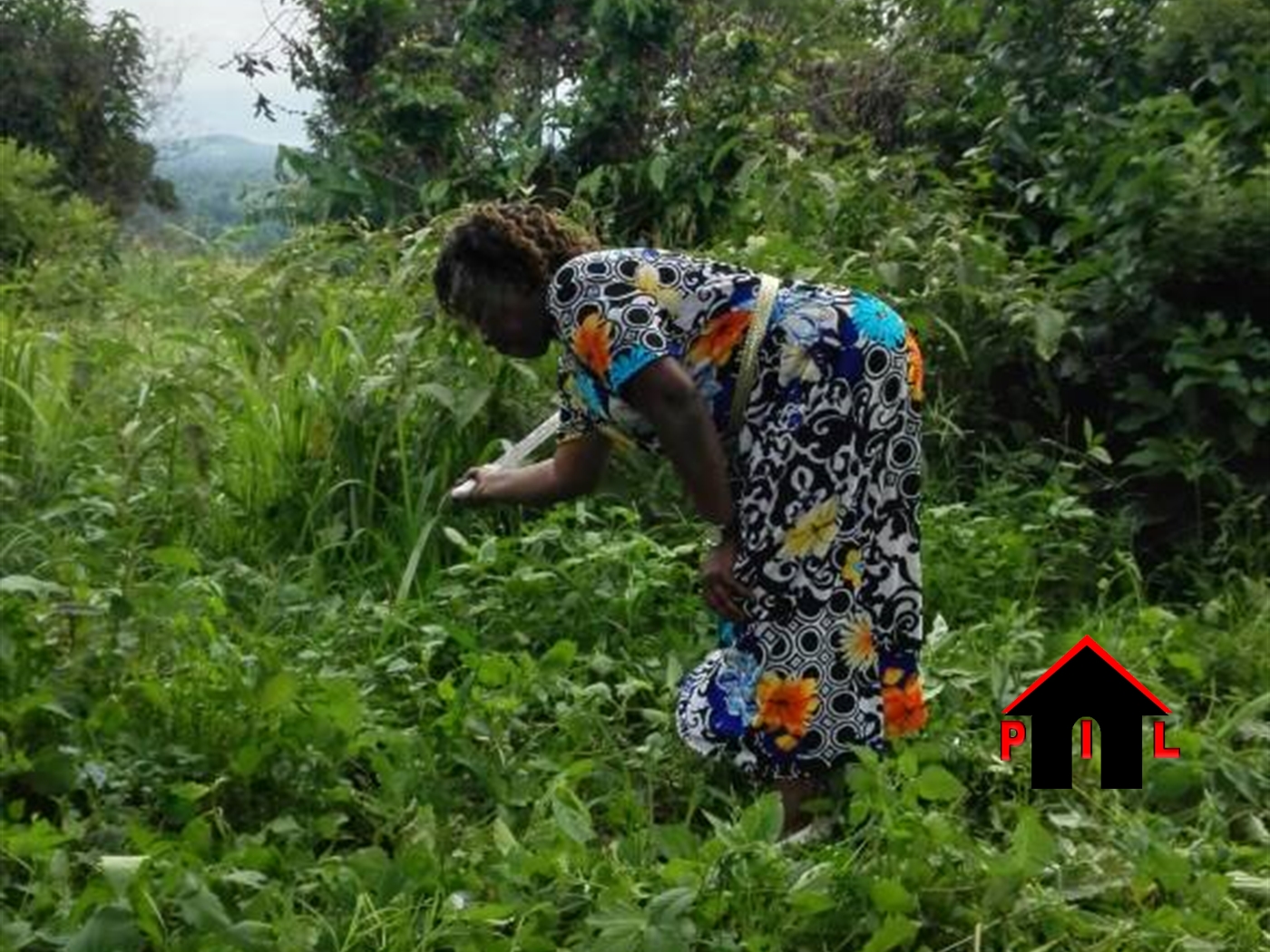 Agricultural Land for sale in Ssempa Luweero