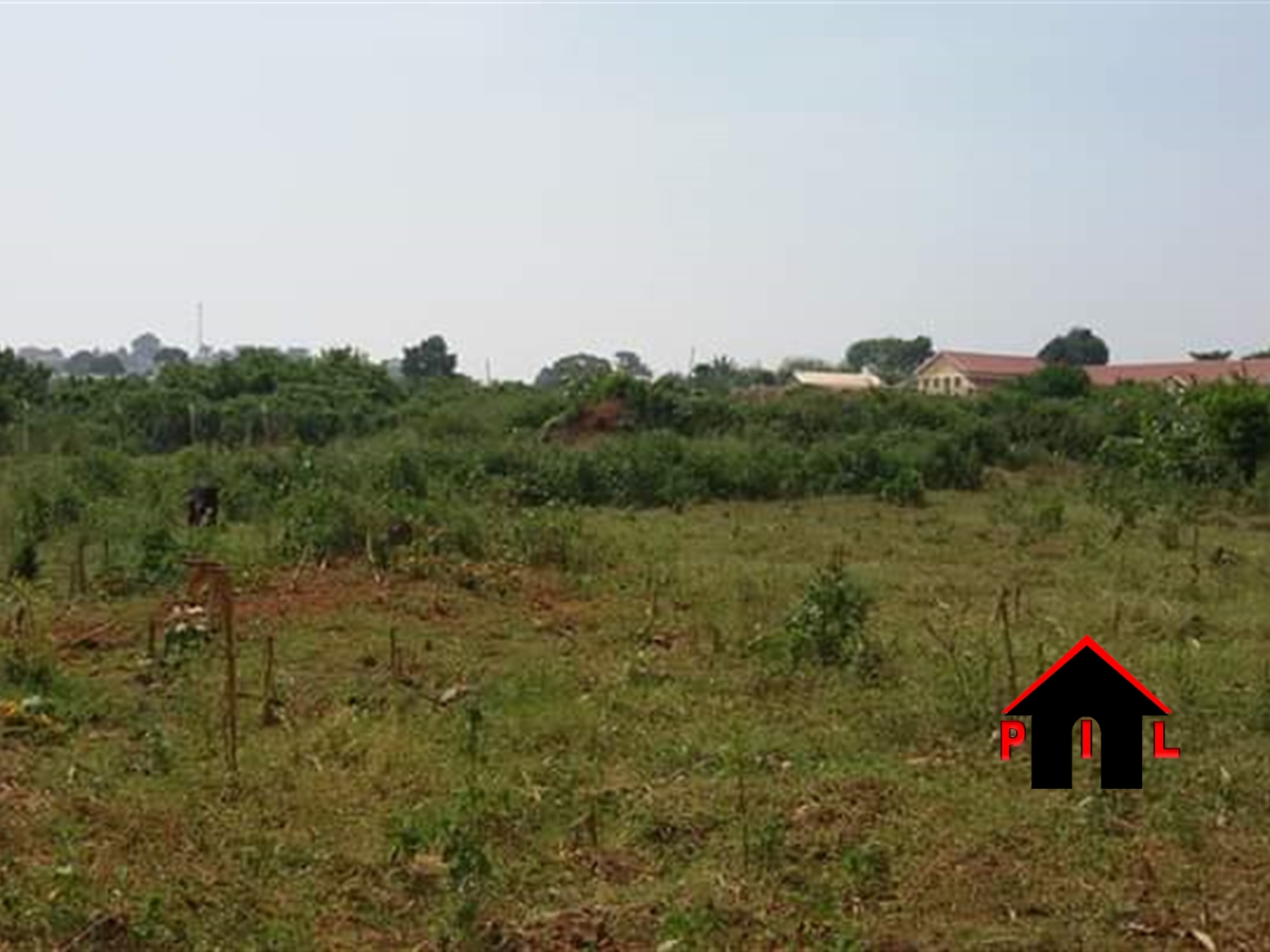 Agricultural Land for sale in Ssempa Luweero