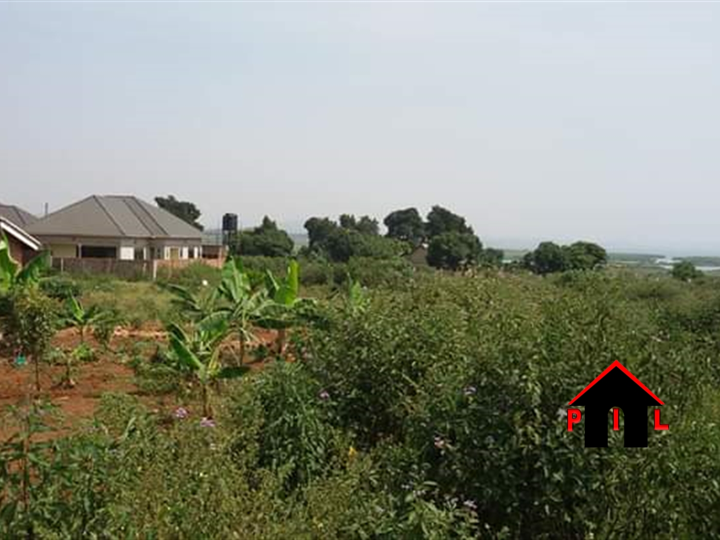 Agricultural Land for sale in Ssempa Luweero