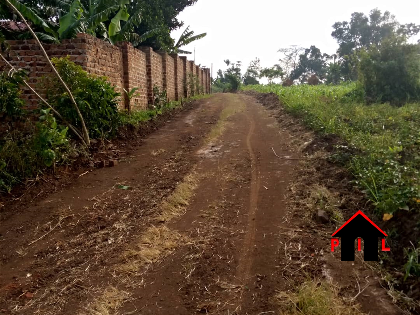 Residential Land for sale in Busukuma Wakiso