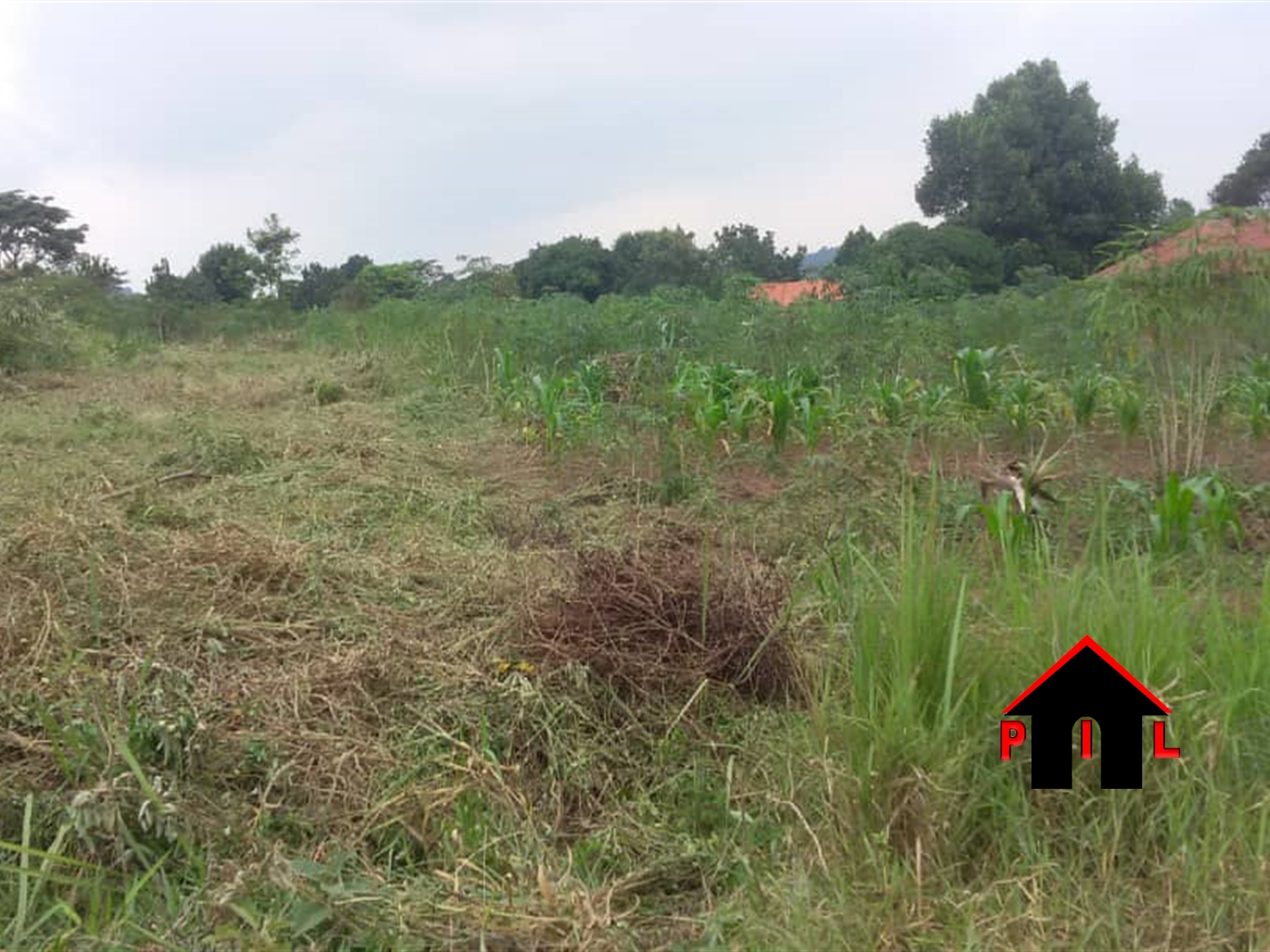 Residential Land for sale in Kitungwa Wakiso