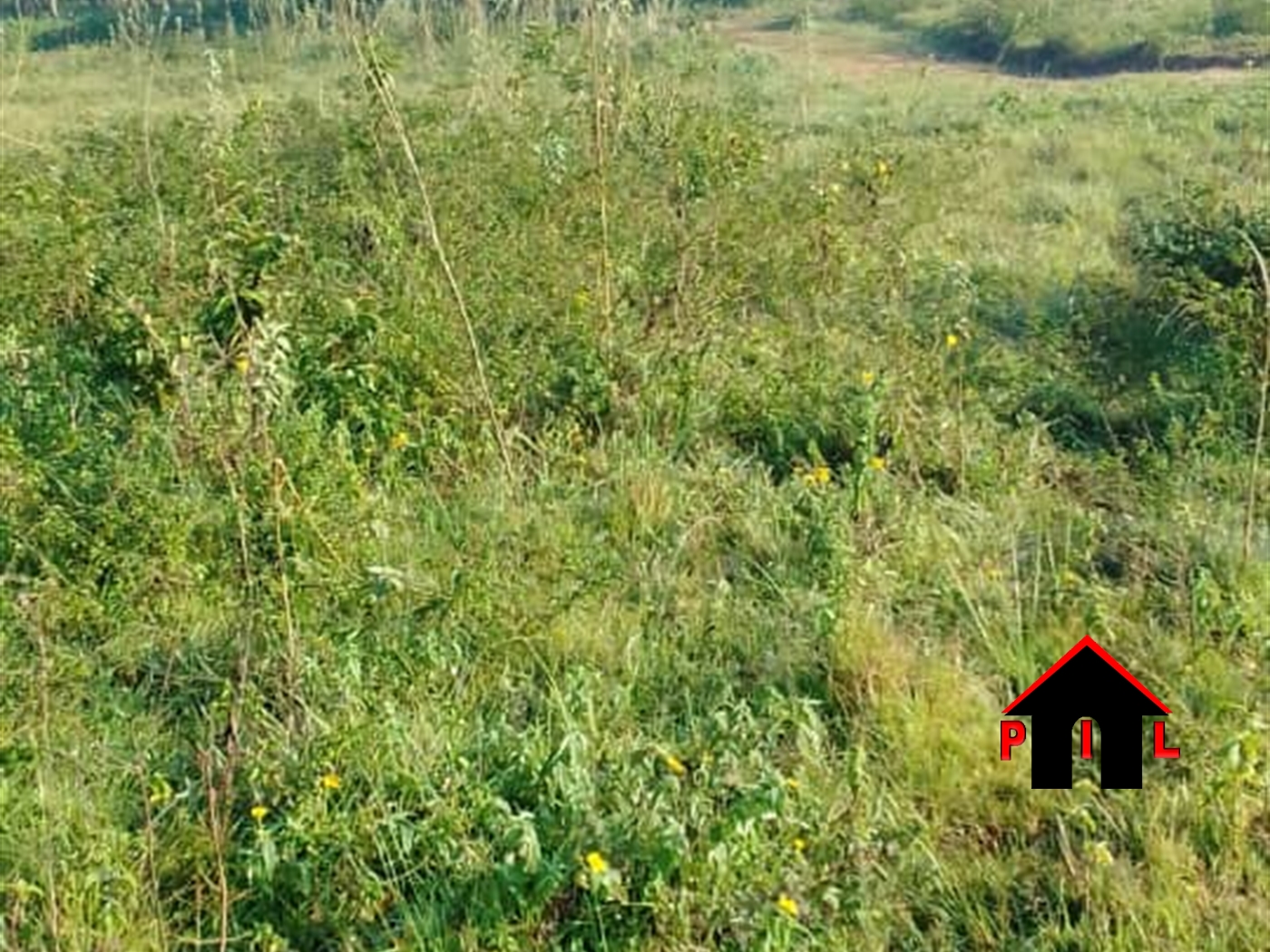 Residential Land for sale in Kizingiza Wakiso