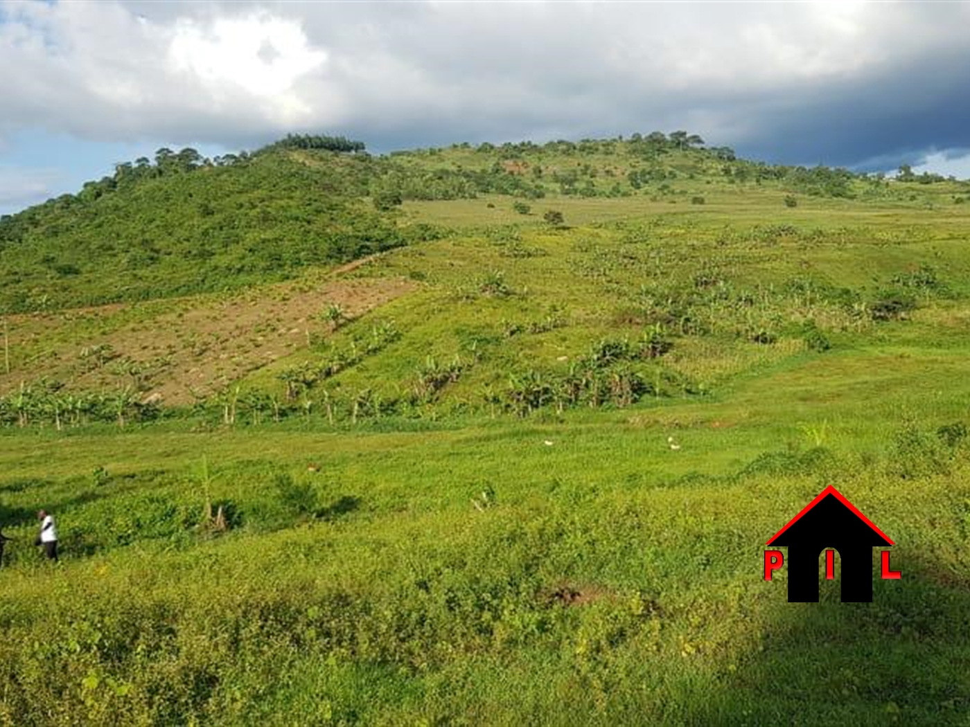 Residential Land for sale in Mbalala Mukono