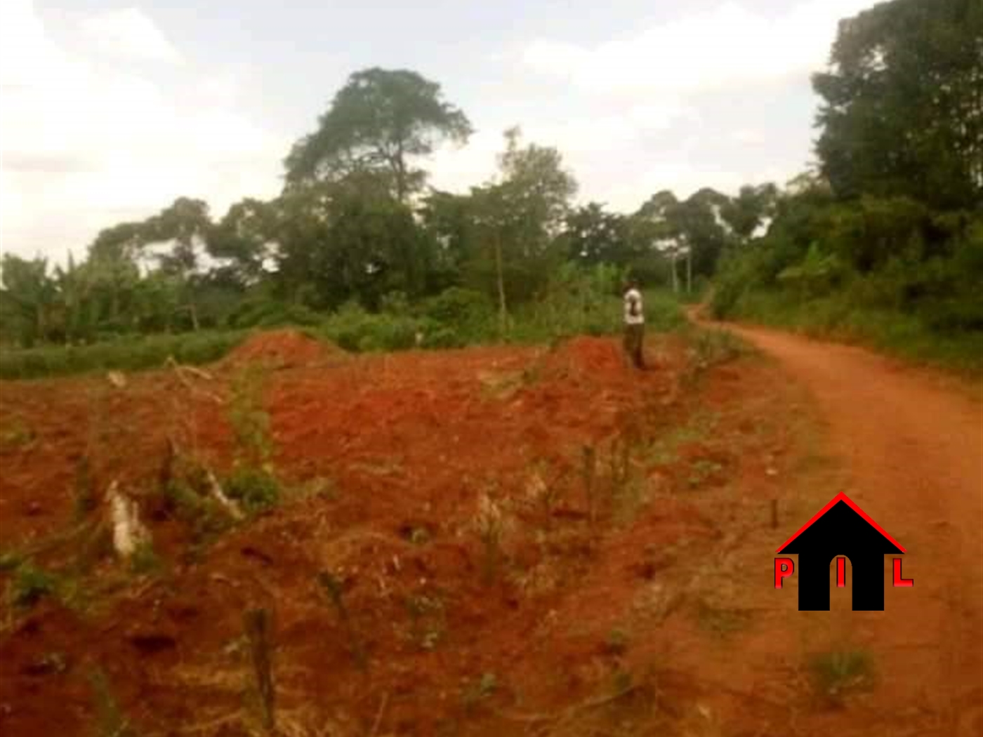 Agricultural Land for sale in Nalongo Luweero