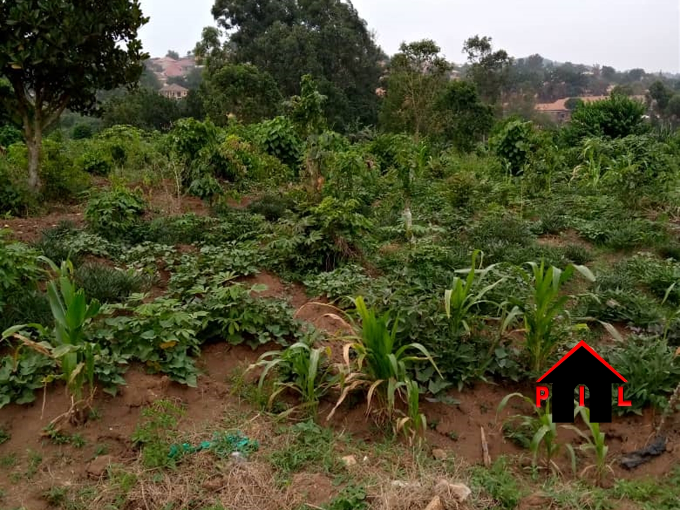 Residential Land for sale in Kasengejje Wakiso