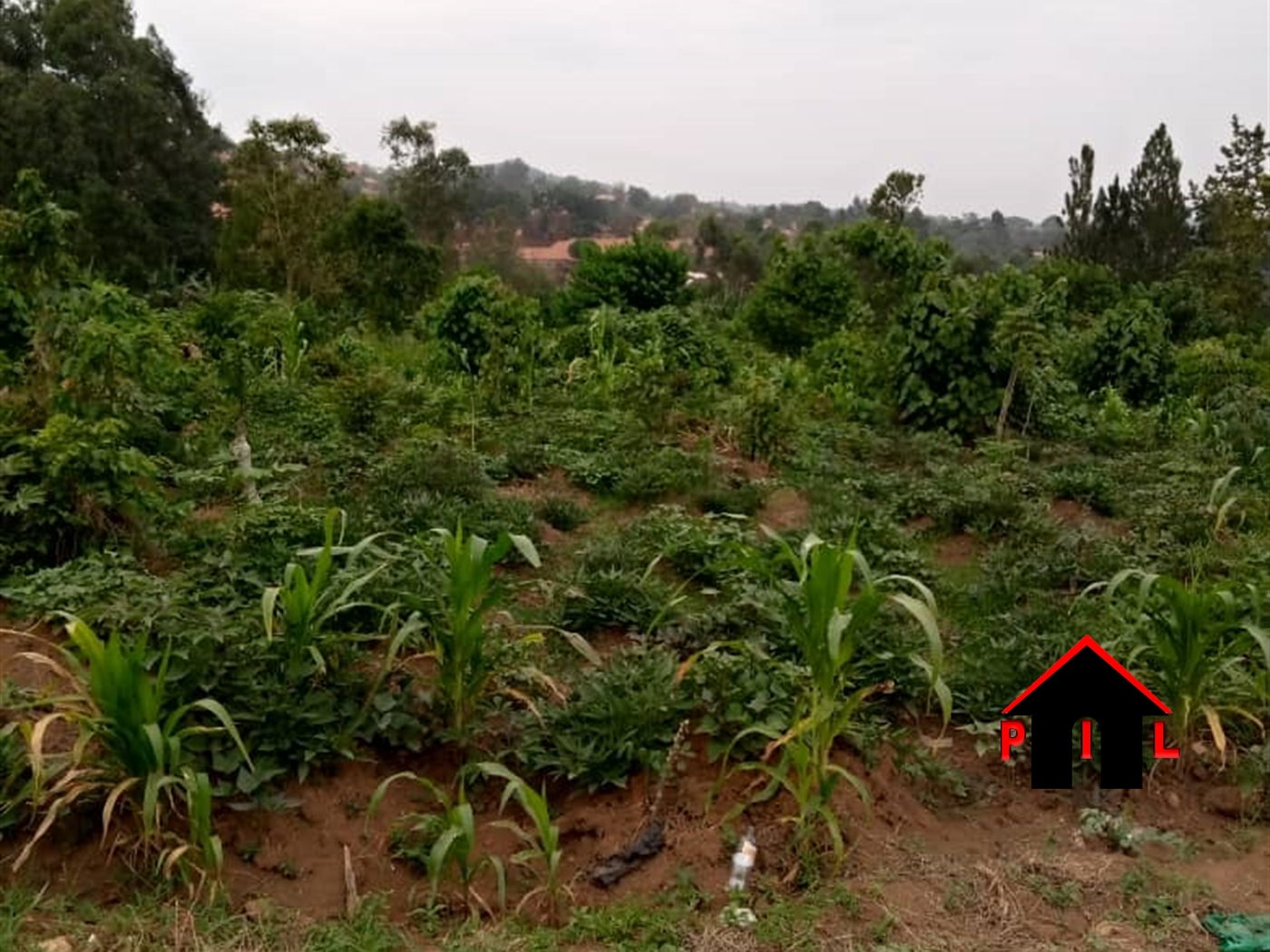 Residential Land for sale in Kasengejje Wakiso