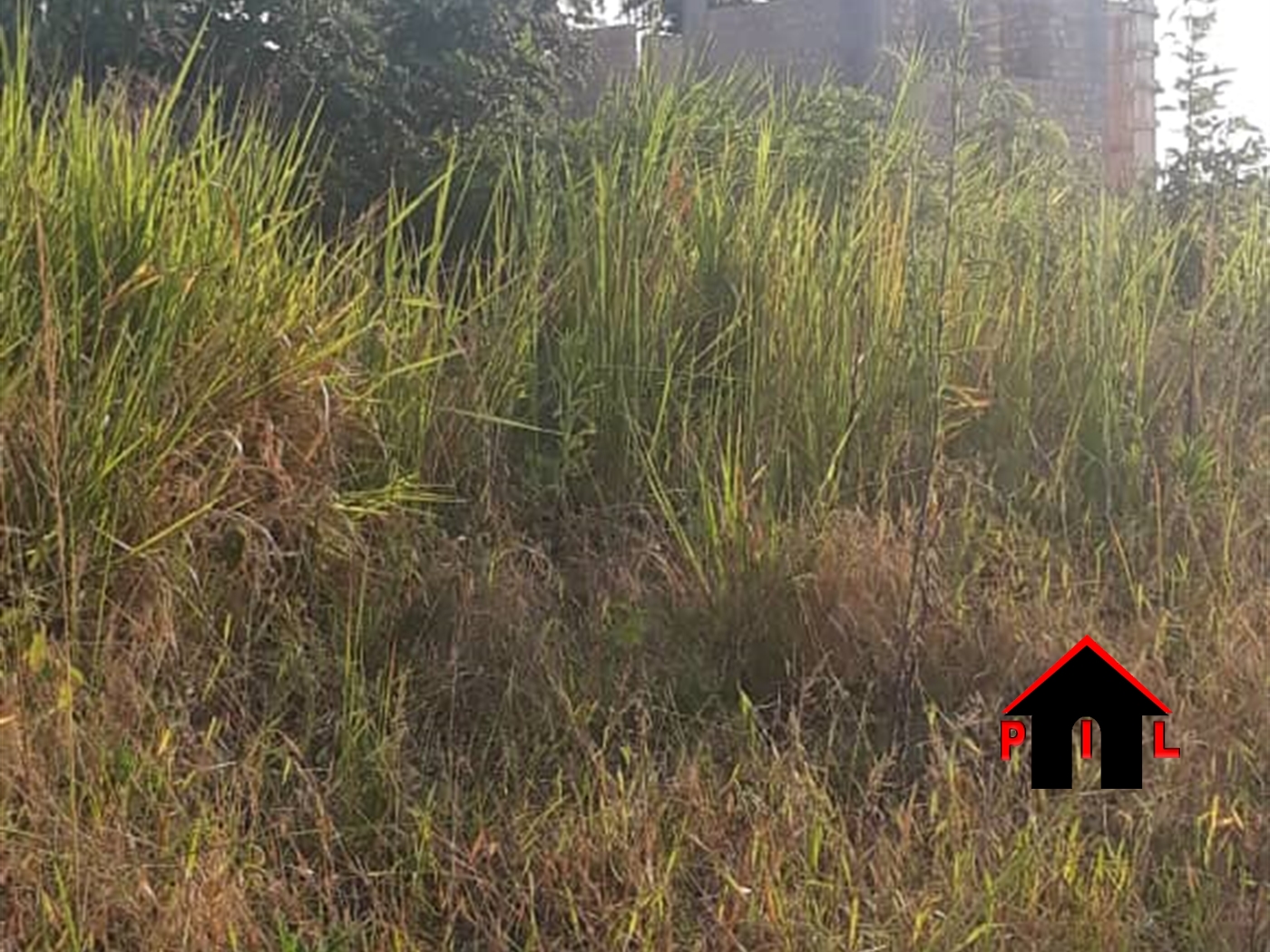 Agricultural Land for sale in Katende Wakiso