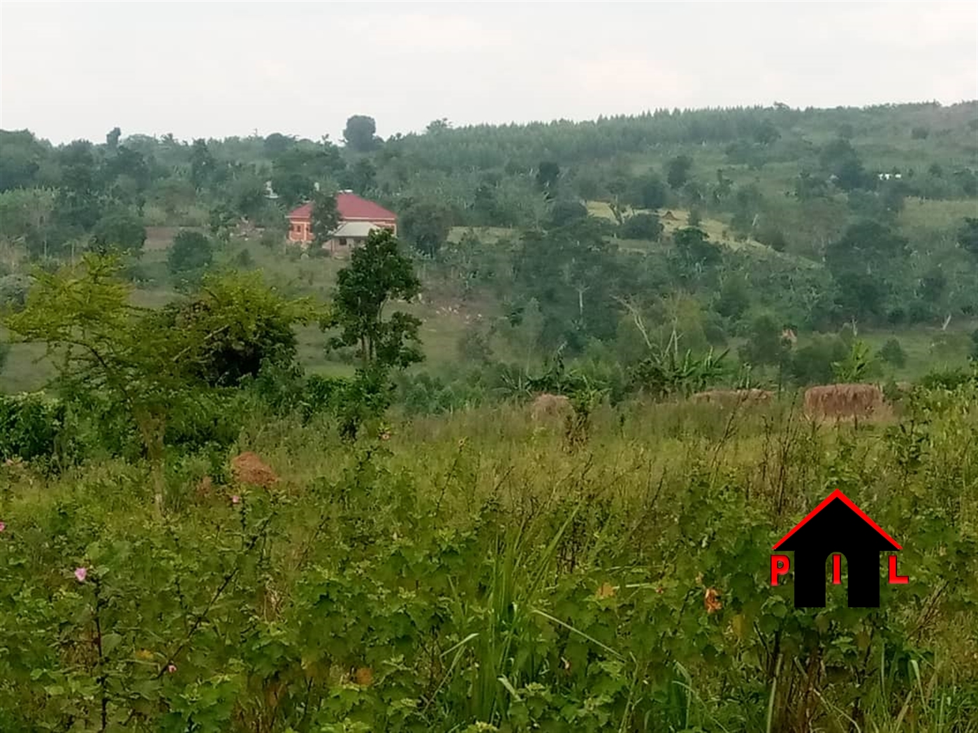 Residential Land for sale in Bombo Luweero