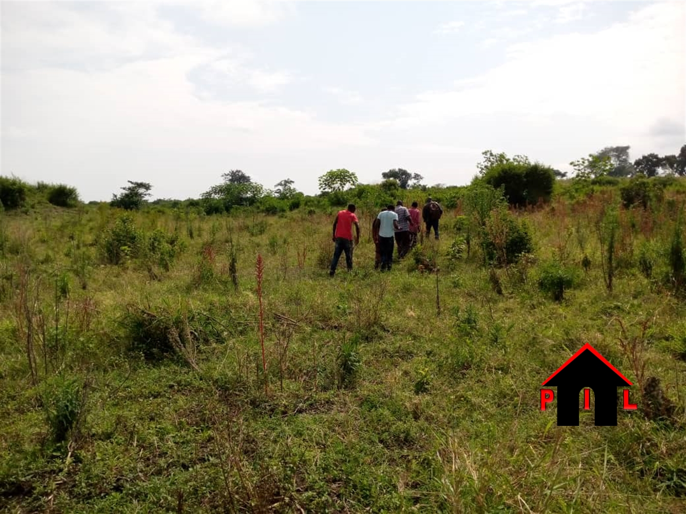 Agricultural Land for sale in Bujuuko Wakiso