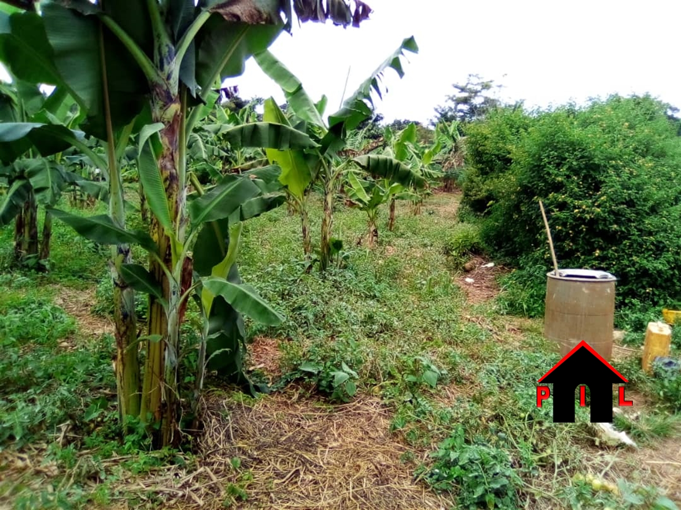 Agricultural Land for sale in Bujuuko Wakiso