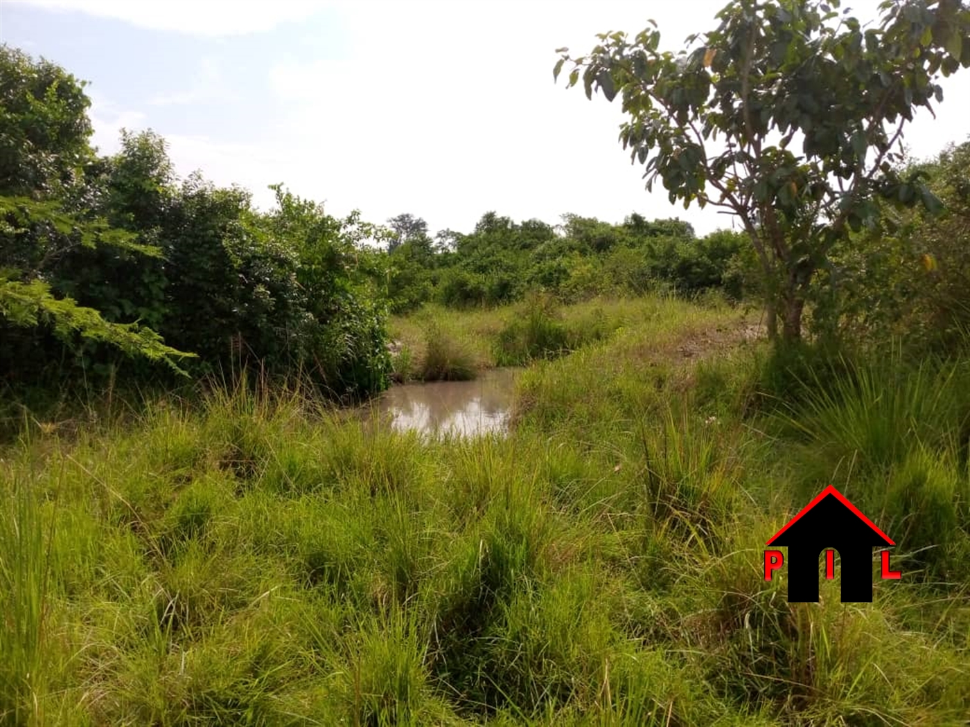 Agricultural Land for sale in Buloba Wakiso