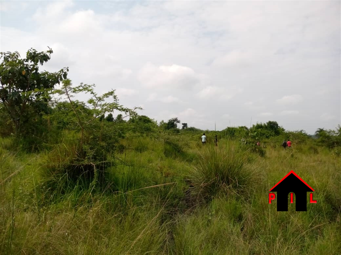 Agricultural Land for sale in Buloba Wakiso