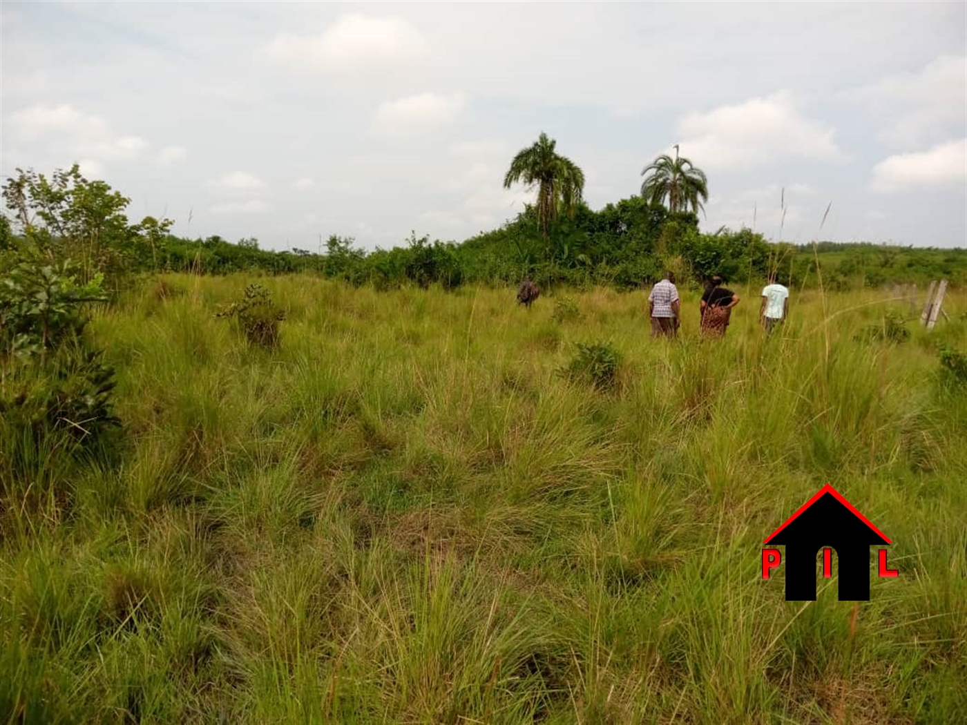 Agricultural Land for sale in Buloba Wakiso