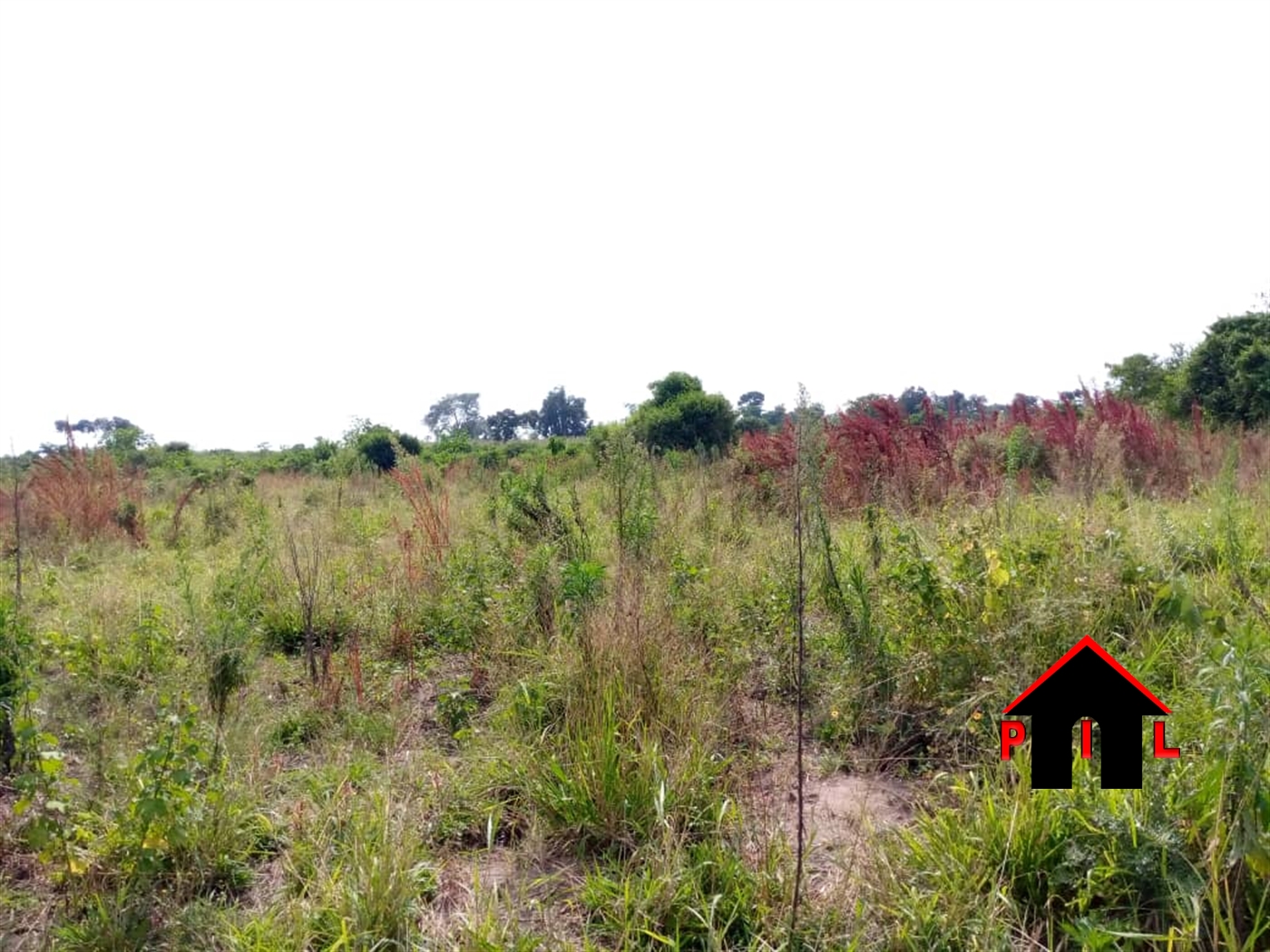 Agricultural Land for sale in Muduuma Wakiso