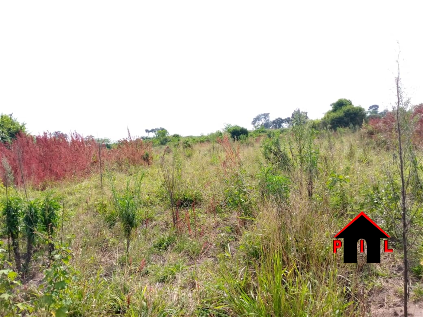 Agricultural Land for sale in Muduuma Wakiso