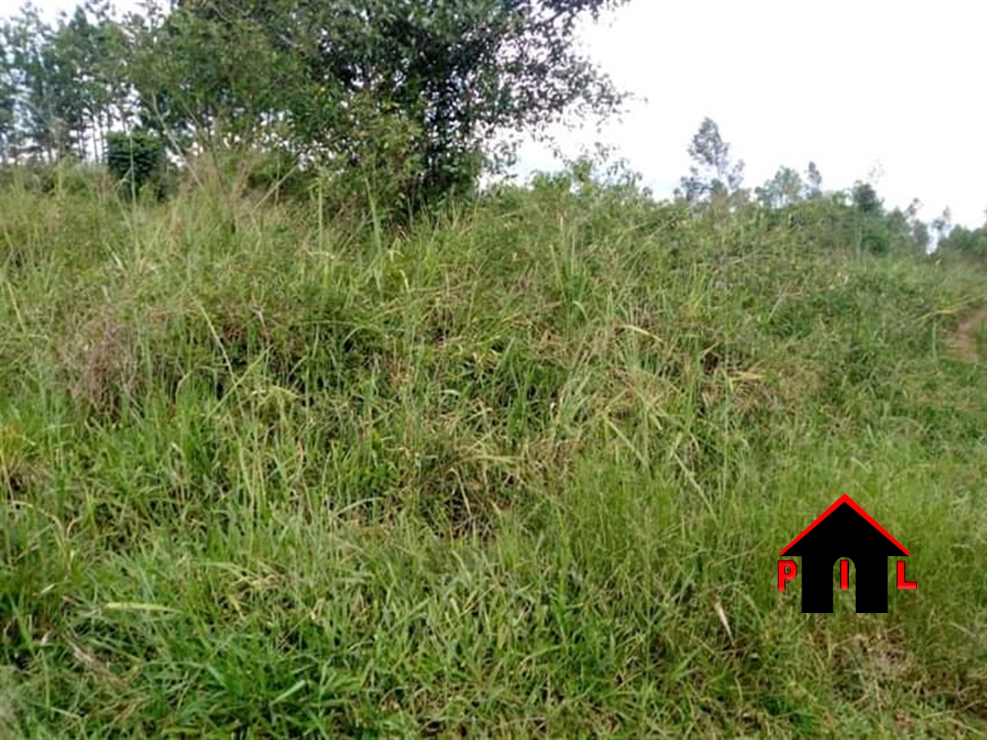 Agricultural Land for sale in Matugga Wakiso