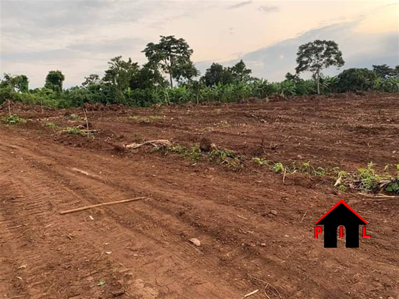 Agricultural Land for sale in Nakasongola Nakasongola