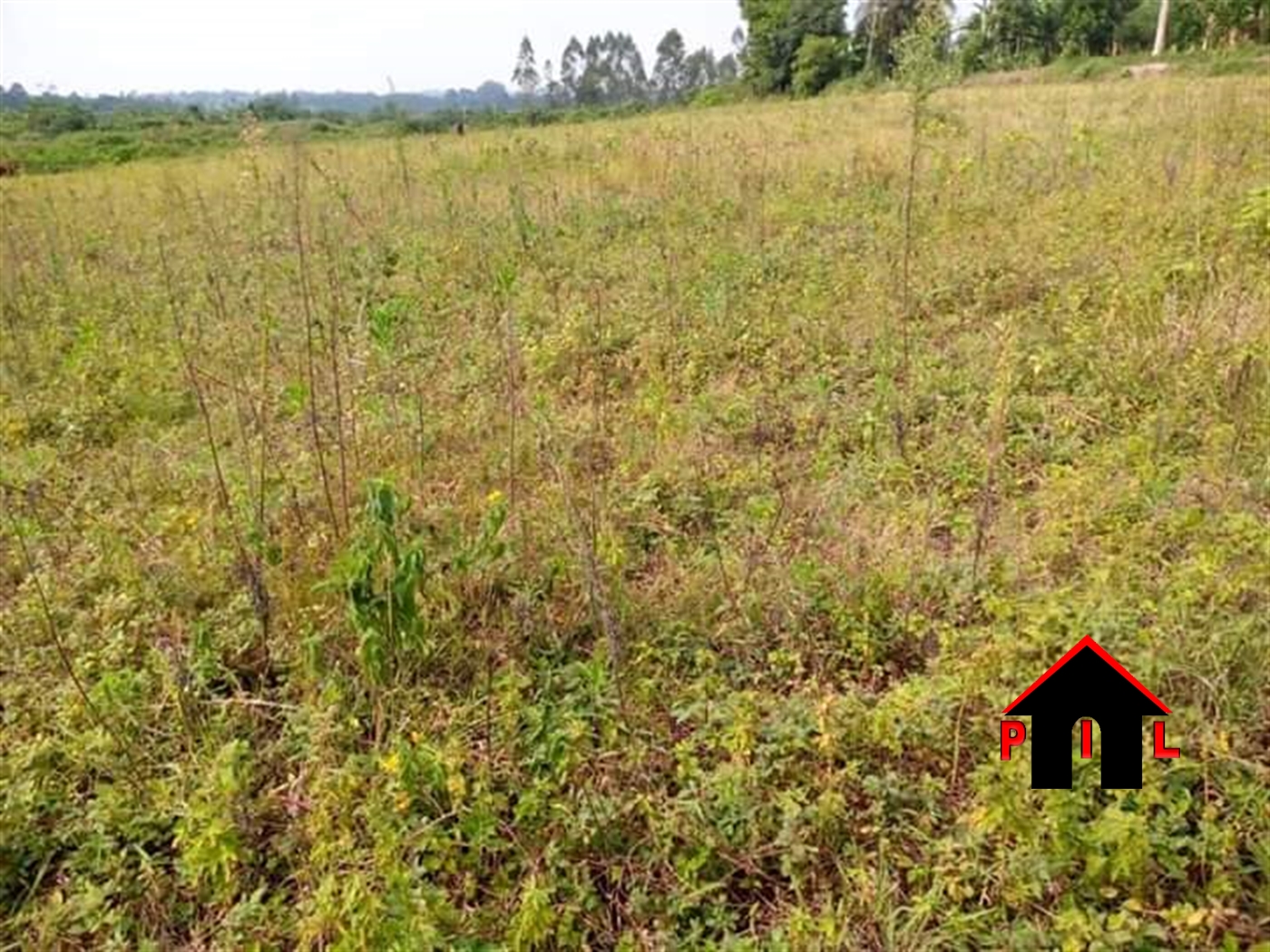 Agricultural Land for sale in Bubezi Mpigi