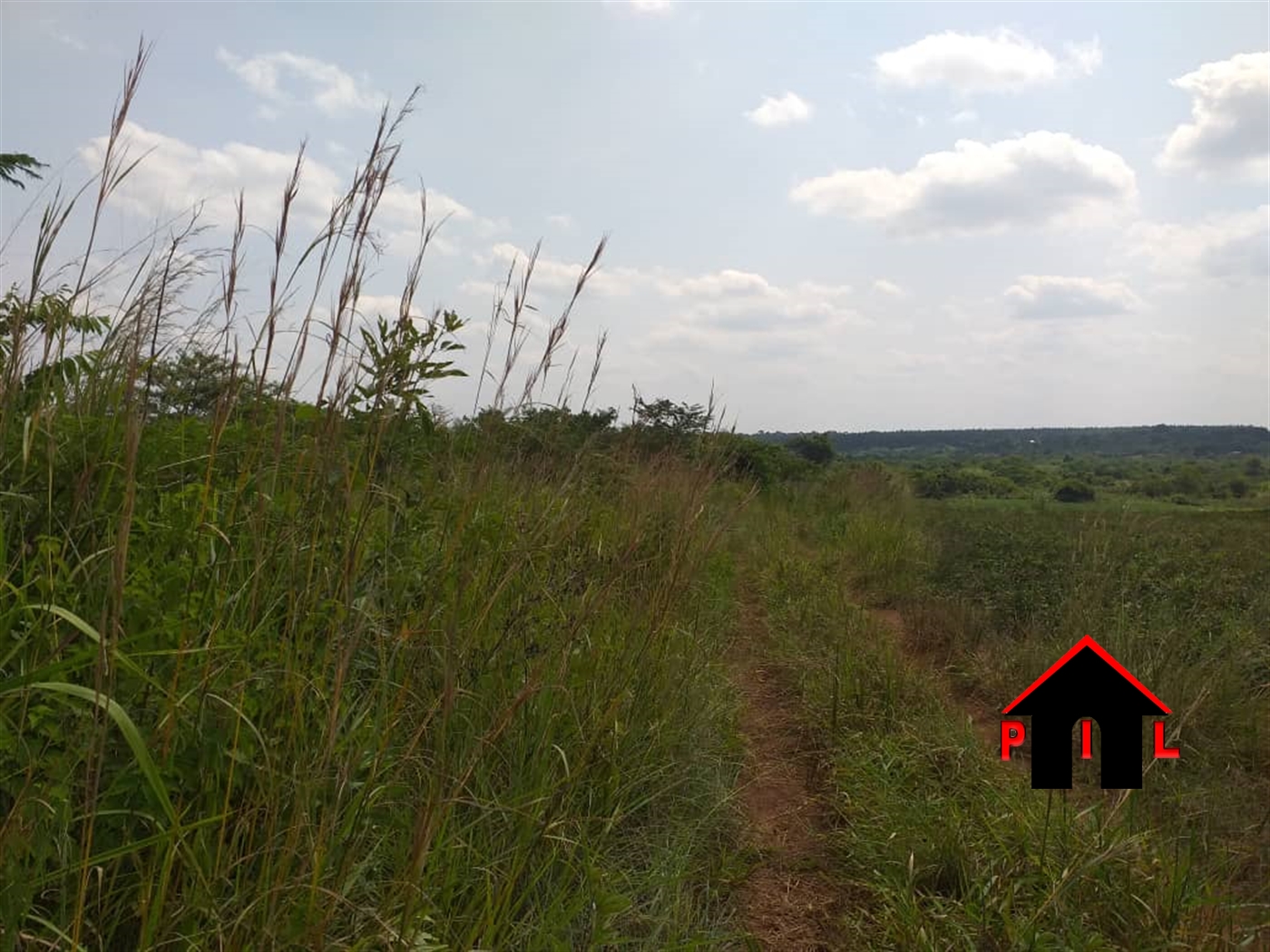 Agricultural Land for sale in Ziloobwe Wakiso