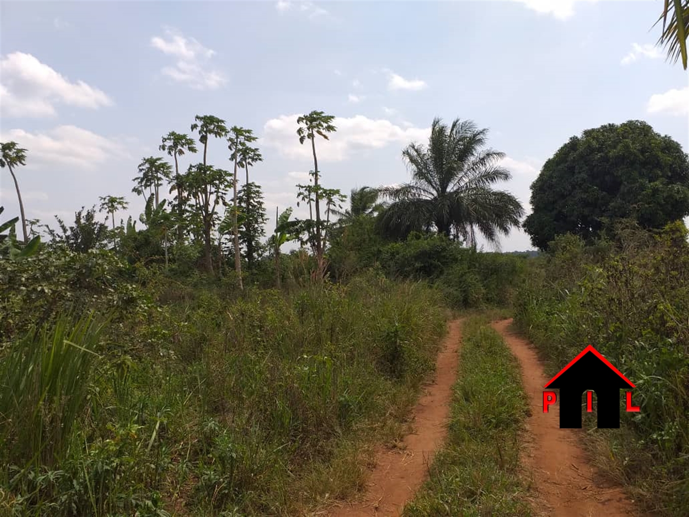 Agricultural Land for sale in Ziloobwe Wakiso