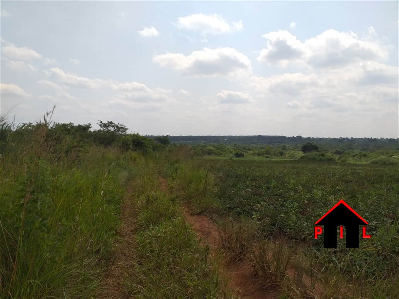 Agricultural Land for sale in Ziloobwe Wakiso