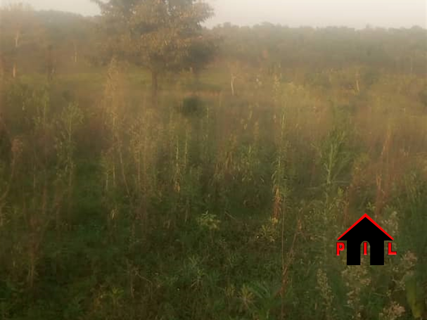 Agricultural Land for sale in Kalule Wakiso