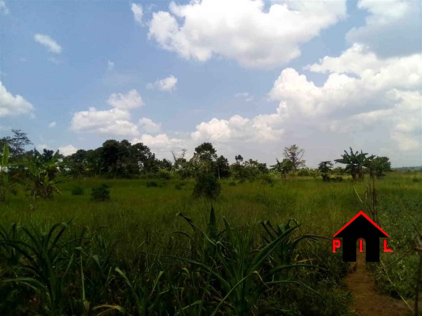 Agricultural Land for sale in Kabulanaka Mukono