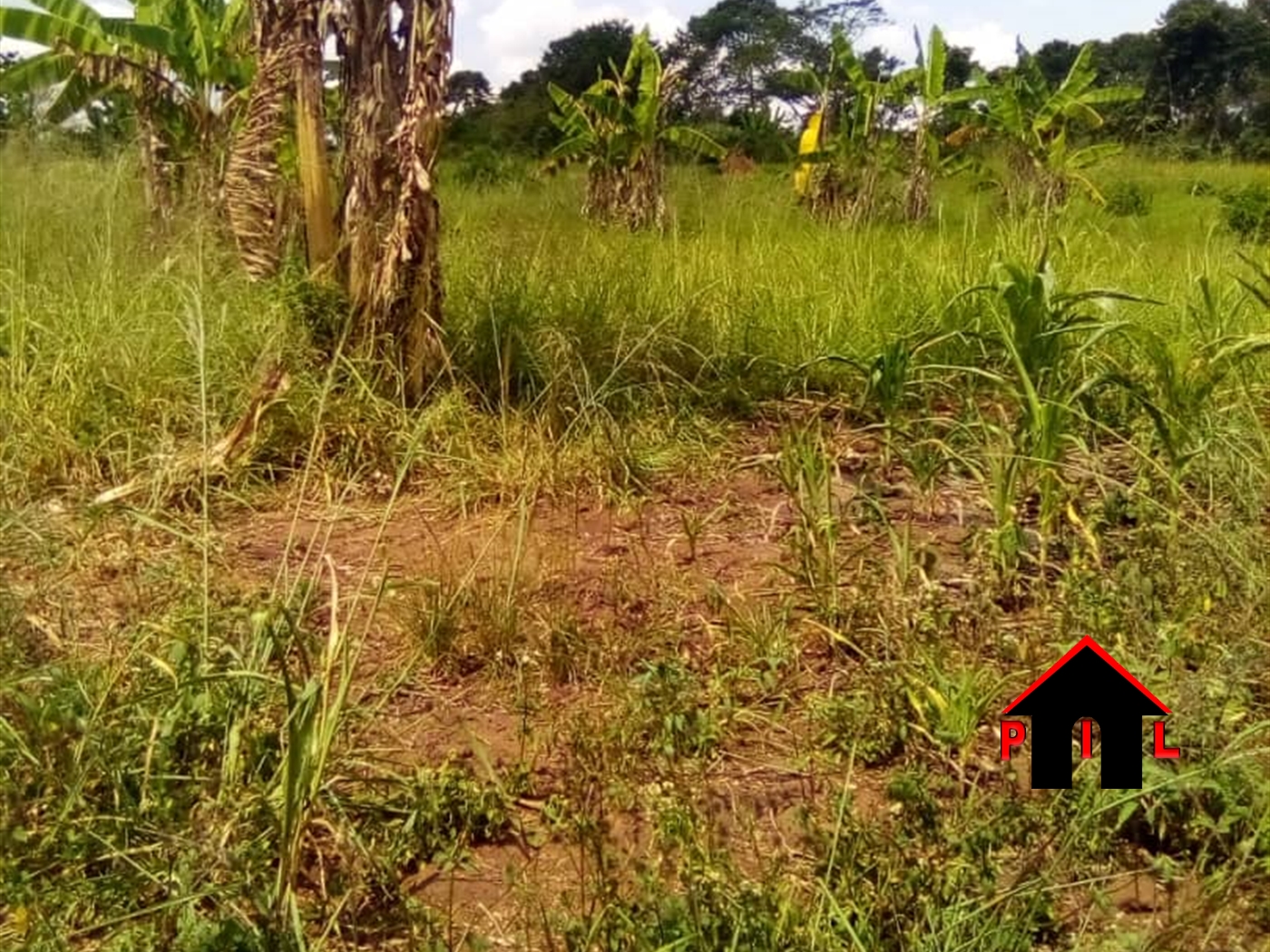 Agricultural Land for sale in Kabulanaka Mukono