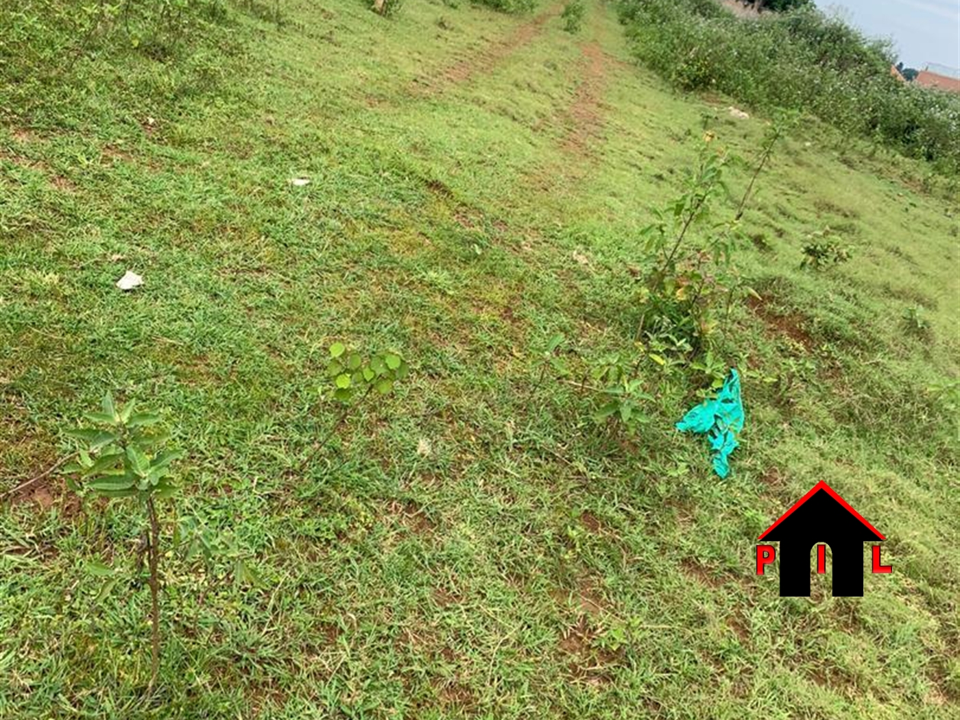 Residential Land for sale in Nkumba Wakiso