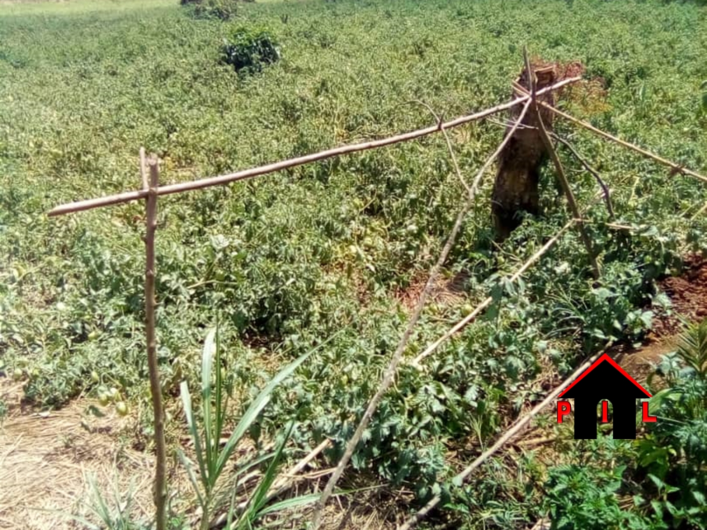 Agricultural Land for sale in Kabulanaka Wakiso