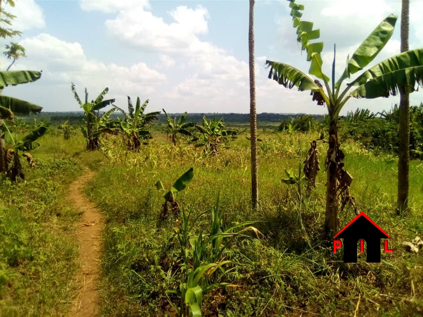 Agricultural Land for sale in Kabulanaka Wakiso