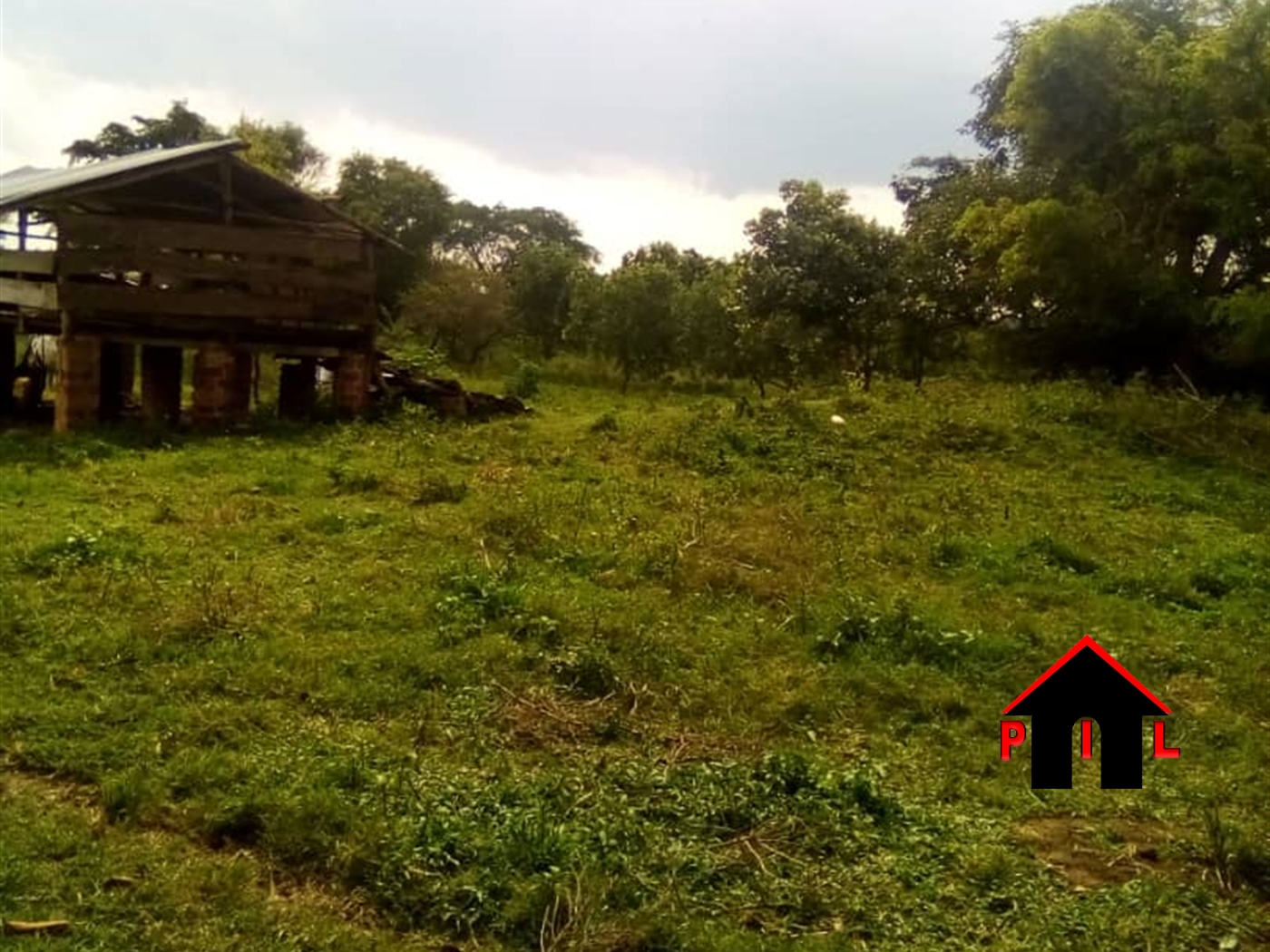 Agricultural Land for sale in Kasokwe Kayunga